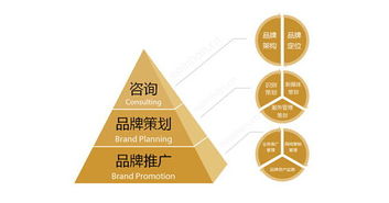 品牌營(yíng)銷(xiāo)策劃中的常見(jiàn)誤區(qū)與挑戰(zhàn)